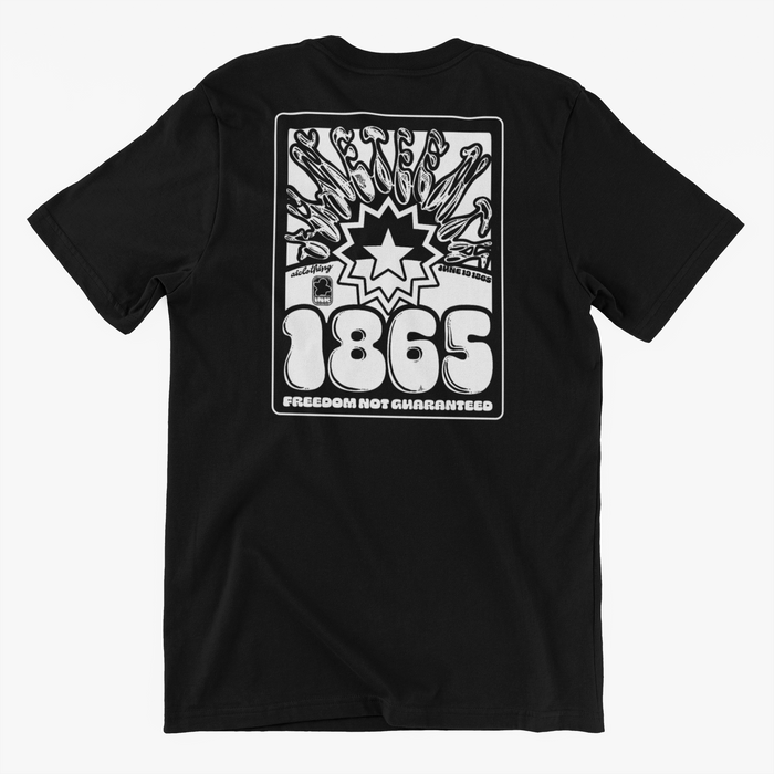 Juneteenth 158 years of Freedom | Freedom not Guaranteed