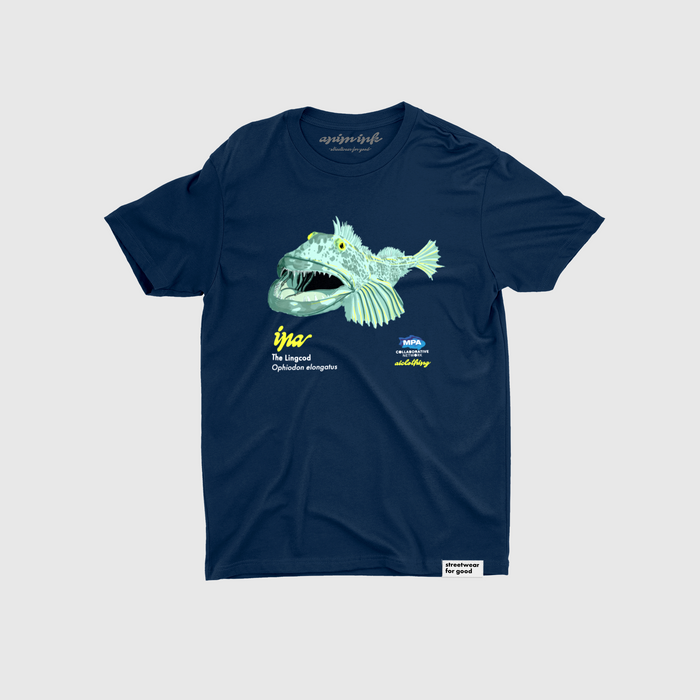 Ina - el bacalao largo