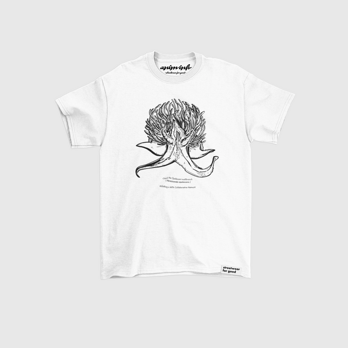 OPAL - El nudibranquio opalescente