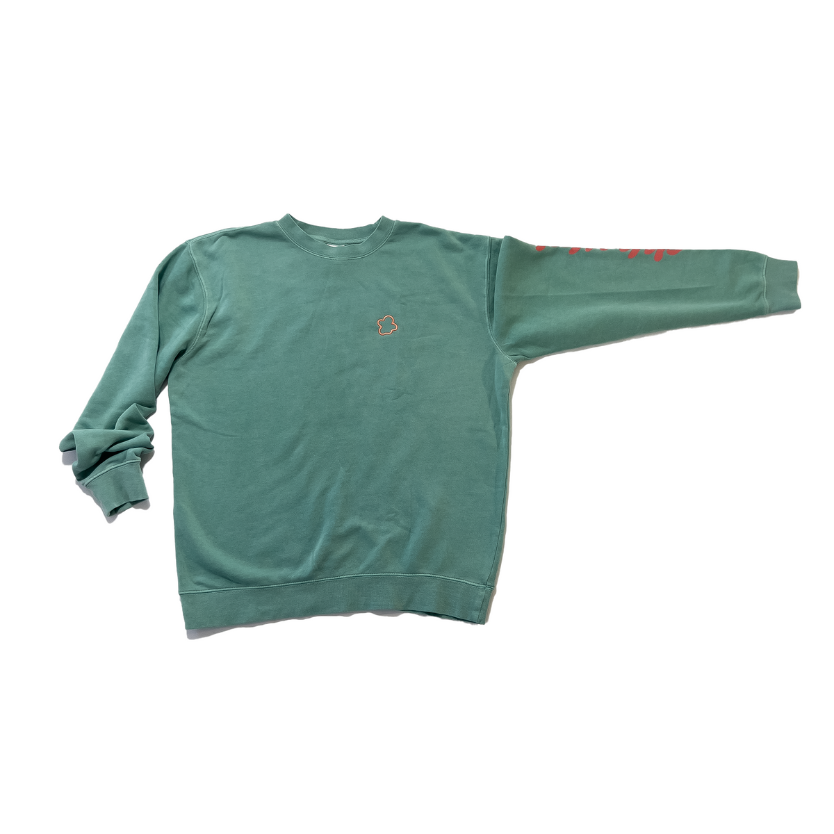 Mint pigment dyed crew neck