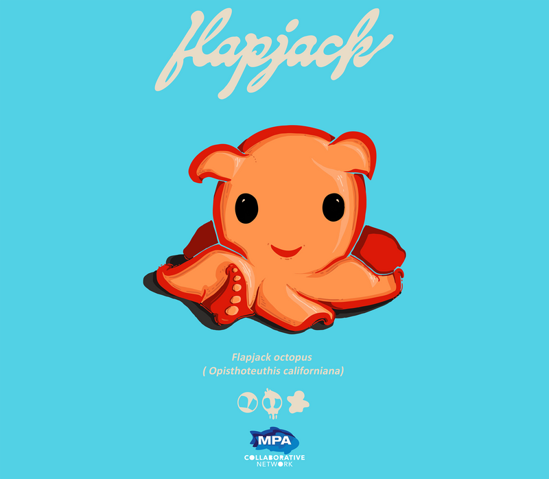 FLAPJACK - the Flapjack octopus