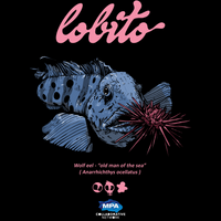 LOBITO - the Wolf eel