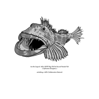 INA - the Lingcod