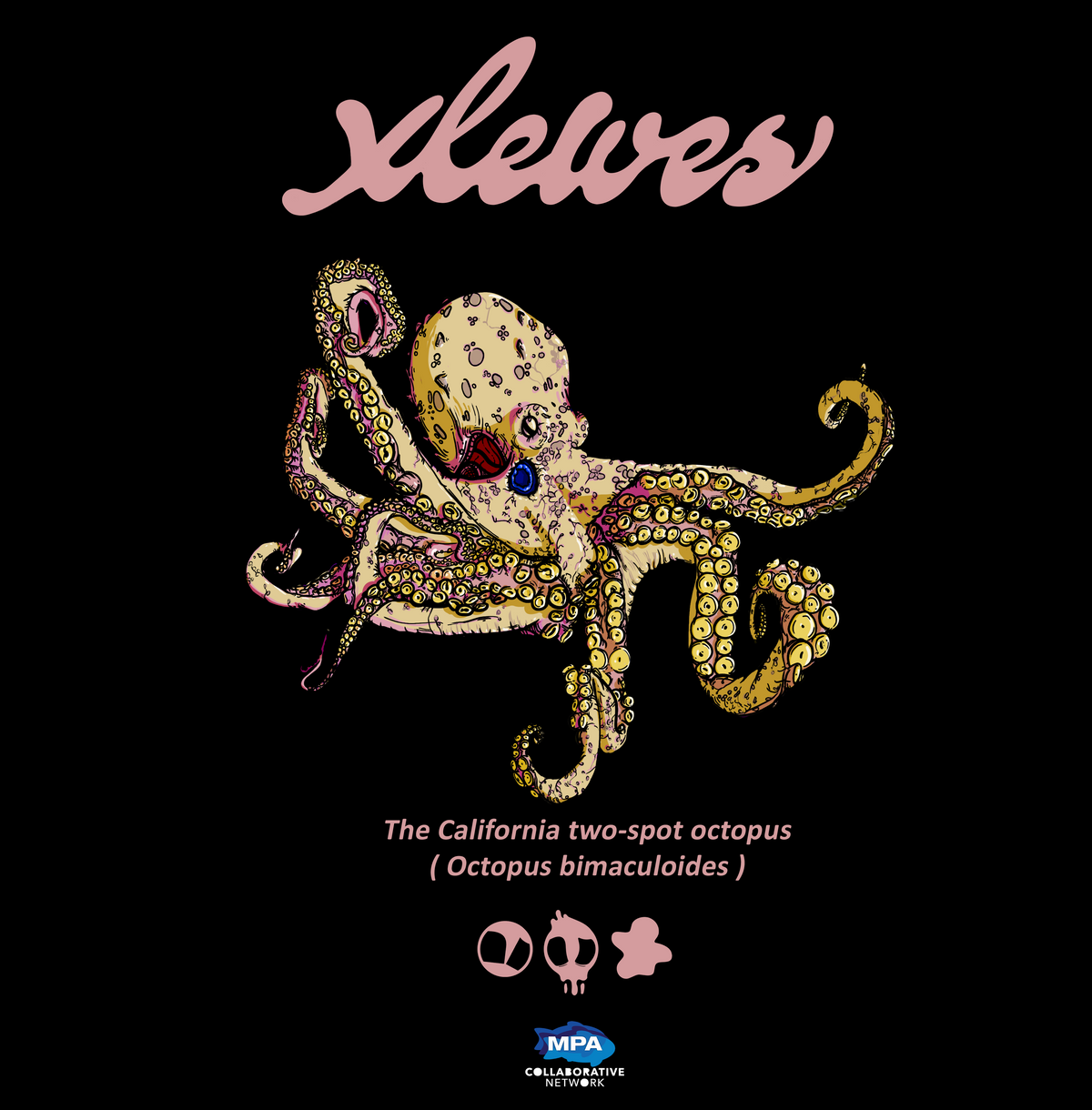 XLEWES - the California two-spot octopus