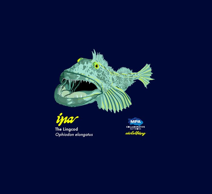 Ina - the Lingcod